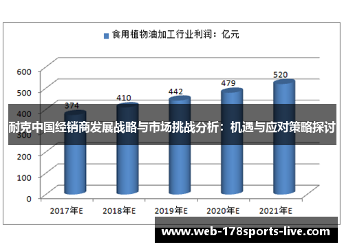 耐克中国经销商发展战略与市场挑战分析：机遇与应对策略探讨